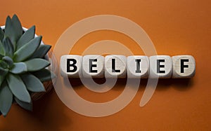 Belief symbol. Concept word Belief on wooden cubes. Beautiful orange background with succulent plant. Business and Belief concept