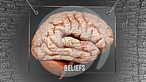 Beliefs in human brain