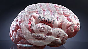 Beliefs and a human brain