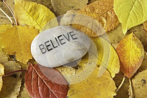 Believe Rock with Fall Leaves