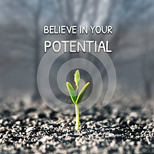 Creer en tuyo potencial 