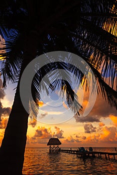 Belize Caye Caulker, Coconut Sunset