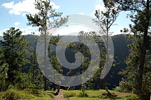 Belize Mountain Pine Ridge Forest Reserve