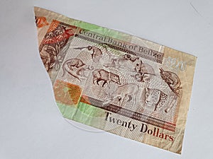 belizean banknote of twenty dollars on the broken sheet of paper photo