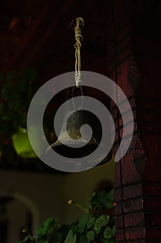 Bell at Bujoreni Monastery