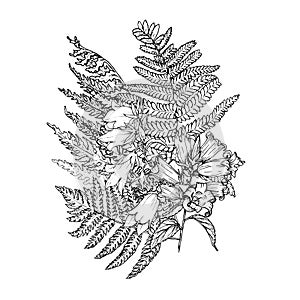 Bell flowers with fern leaves, monochrome