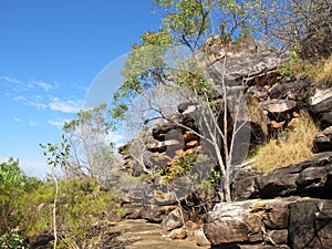 Bell gorge, kimberley, western australia