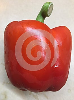 Bell pepper