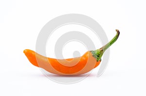 Bell pepper