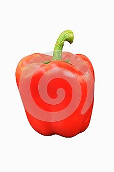 Bell pepper (bulgarian pepper) isolated on white. It is red, fresh, beautiful!