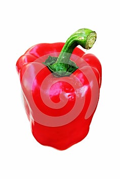 Bell pepper (bulgarian pepper) isolated on white. It is red, fresh, beautiful!