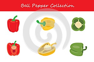 bell pepper collection in different style. Vector illustration.