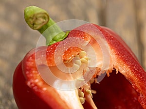 Bell pepper cut macro