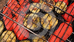 Bell pepper and eggplant roasted on the grill, close-up. Grilled vegetables