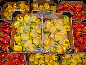 Bell pepper. Heap of fresh sweet  peppers  in cardboard boxes for sale on farming market