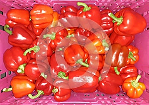 Bell pepper. Heap of fresh sweet  peppers  in cardboard boxes for sale on farming market