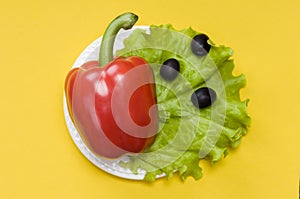 Bell pepper, olives, salad lettuce on yellow background