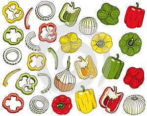 Bell pepper and onion set. Hand drawn red, green, yellow peppers, white onion bulb vector illustration isolated on white