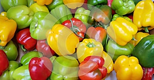 Bell pepper for sale on farming market