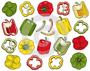 Bell pepper set. Hand drawn red, green, yellow peppers vector illustration isolated on white background. Whole capsicum, halved