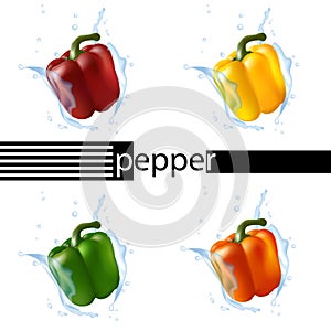 Bell pepper set in red, yellow, green, and orange. Water splashing.