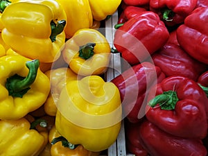 Bell pepper, sweet pepper or capsicum red and yellow color on shelf in supermarket with selective focus.