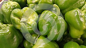 Bell Peppers