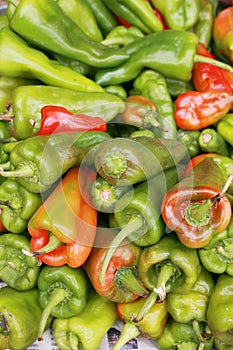 Bell peppers, capsicum annuum. photo