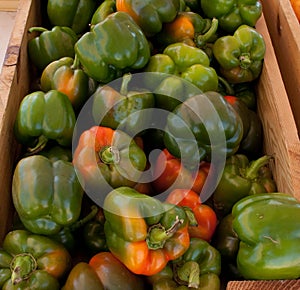 Bell Peppers at a Farmer's Market
