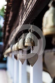 Bell in pratat sawi, Chumphon