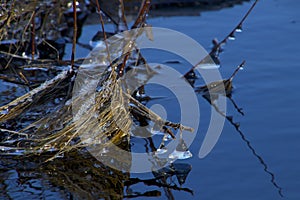 Bell-shaped icicles are reflected in the lake so adventurous