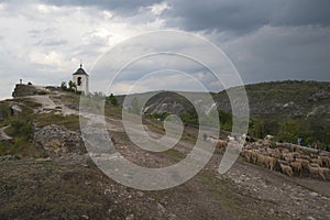 The bell tower of the cave monastery and a herd of the sheep.