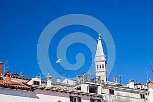 Bell tower of the Church of St. Euphemia in Rovinj town, Istrian Peninsula, Croatia