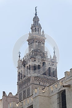 Bell tower Giralda, former minaret of Cathedral church, Seville, Spain