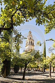 Bell Tower of the Mezquita Cathedral, Cordoba, Spain