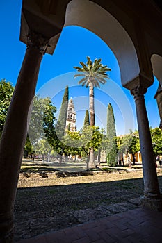 The bell tower at the Mezquita mosque & cathedral in Cordoba, Sp