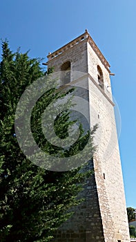 Bell tower next to a high pine tree