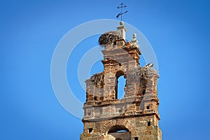 Bell tower with a storks nest in Plasencia old town.