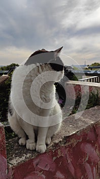 Paris: the first week after the lockdown