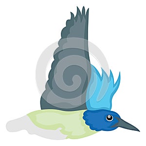 Bellied pitta, colorful bird Vector Icon