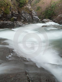 Bellos River in the Ordesa and Monte Perdido National Park. photo