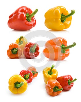 Bellpepper collection photo