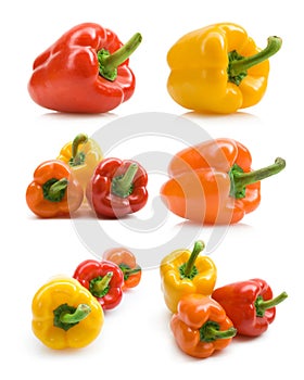Bellpepper collection