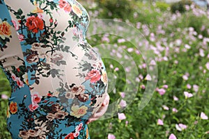 Belly close-up in flower field Asian pregnant woman in Chinese traditional cheongsam chi-pao