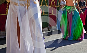 Belly dancers detail