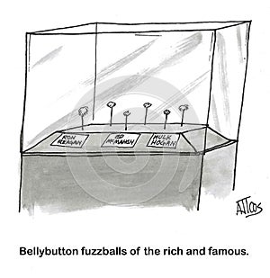 Bellybutton Fuzz Balls on Museum Display photo