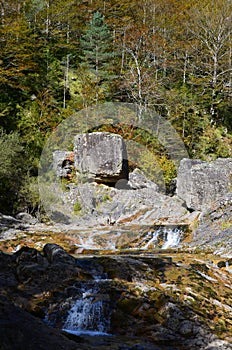 The BellÃ³s river in AÃ±isclo canyon, Ordesa national park, Pyrenees