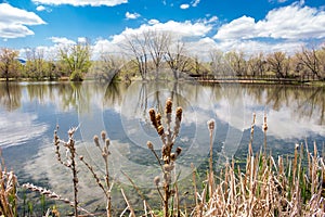 Belmar Lake in Lakewood, Colorado