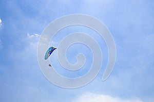 Belo Horizonte, Minas Gerais, Brazil. Paraglider flying from top