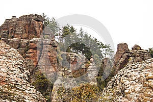 Belogradchik rocks